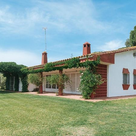 La Casita De Hato Pinos, Un Rincon En Donana Aznalcázar Εξωτερικό φωτογραφία
