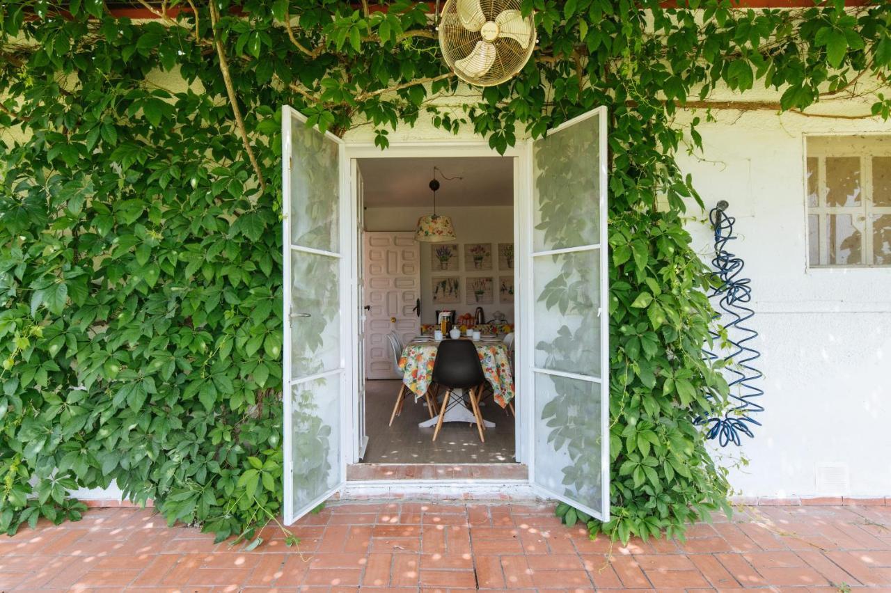 La Casita De Hato Pinos, Un Rincon En Donana Aznalcázar Εξωτερικό φωτογραφία